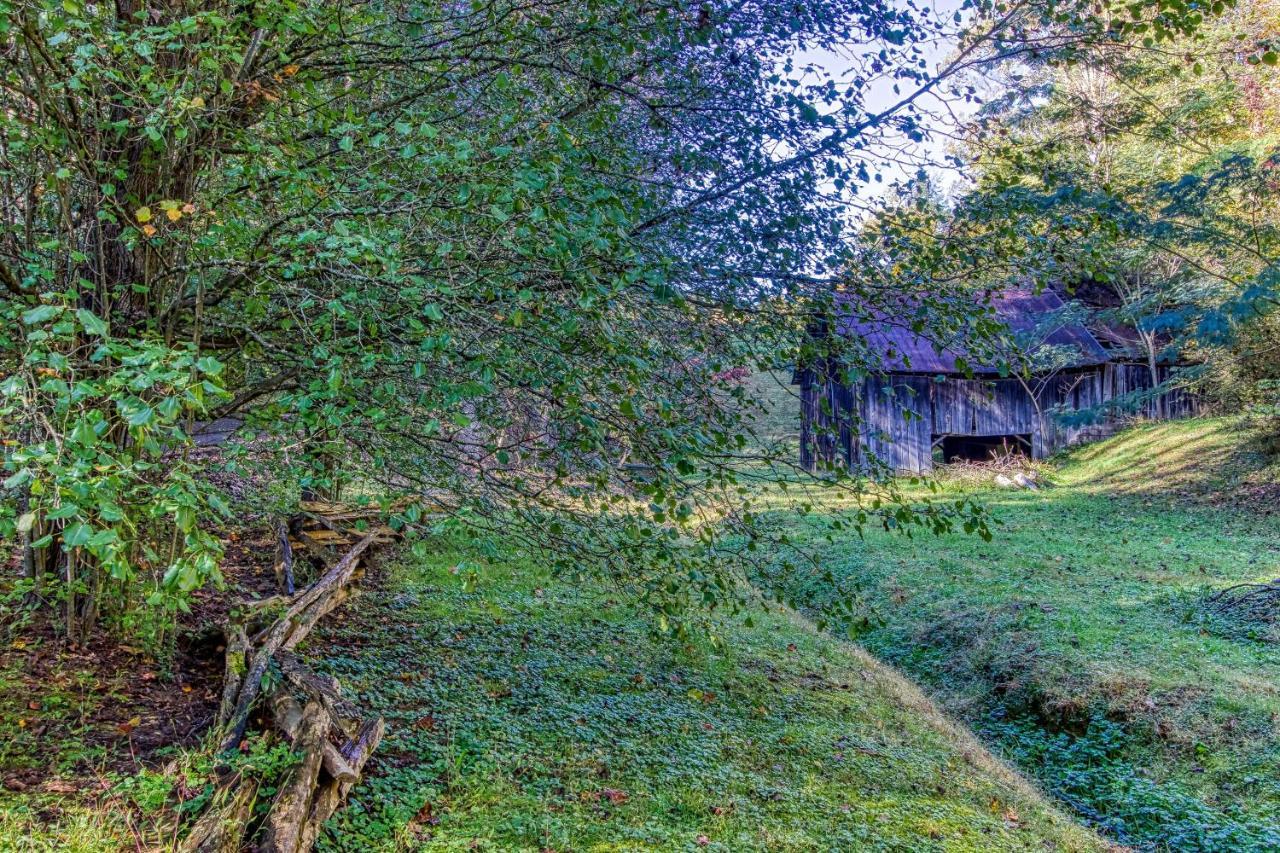 Cozy Creek Cabin Villa Pigeon Forge Exterior photo